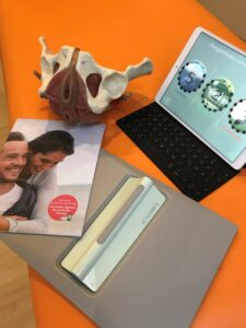 Beckenbodentherapie, Physotherapie, A-K-tiv Therapiezentrum Eutin